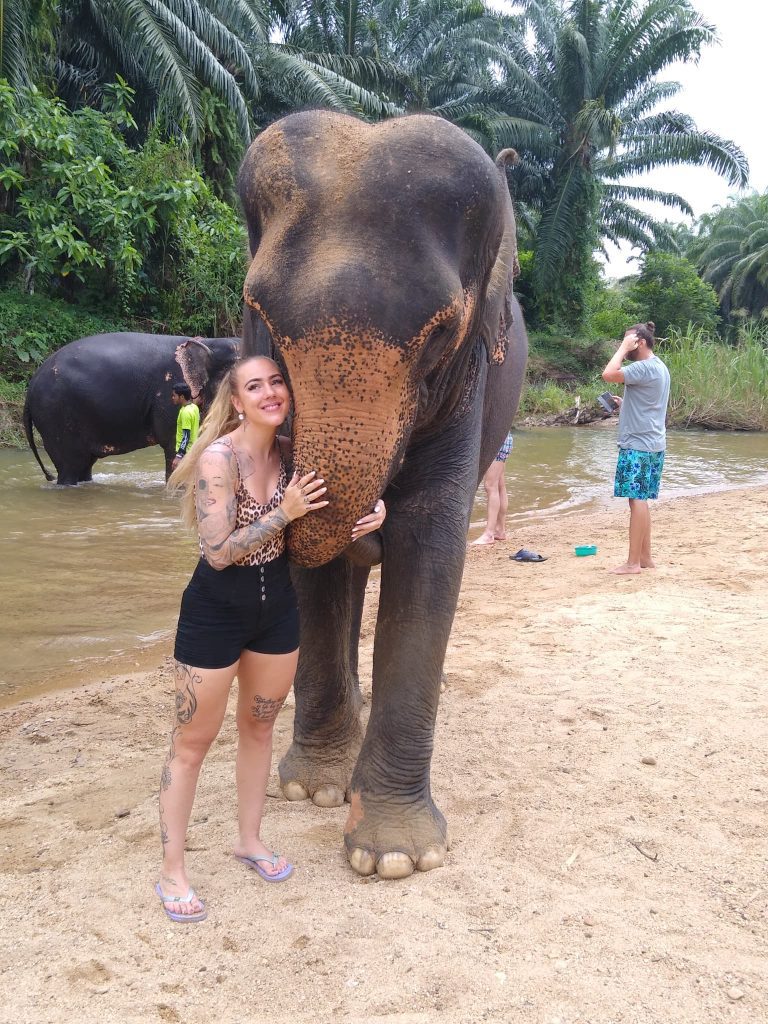 Krabi Elephant Love And Care