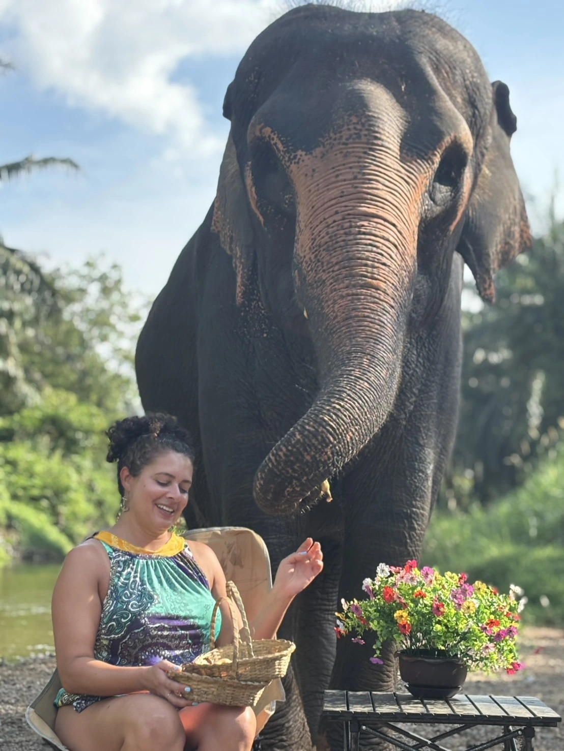 Krabi Elephant